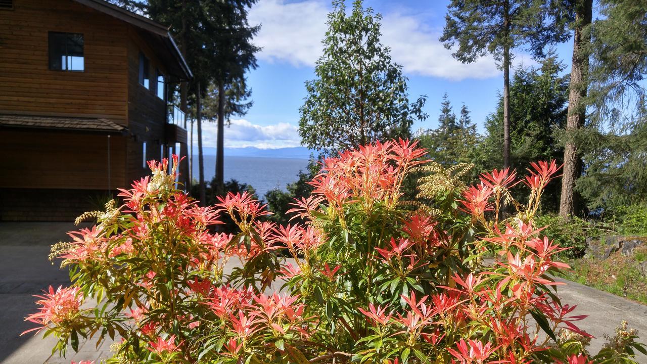 Sunshine Coast Treetop B&B Sechelt Esterno foto