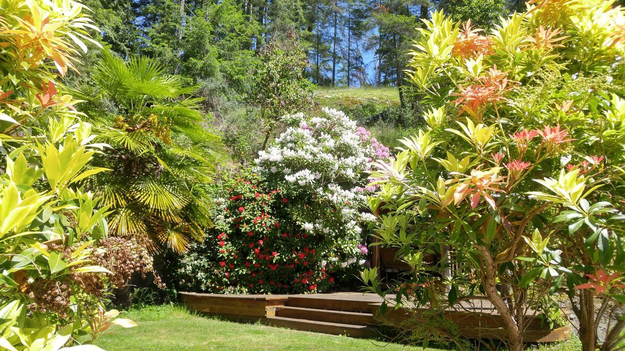 Sunshine Coast Treetop B&B Sechelt Esterno foto
