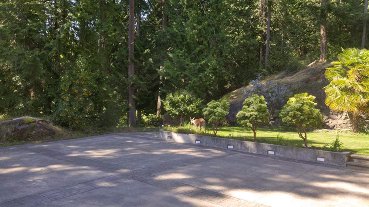 Sunshine Coast Treetop B&B Sechelt Esterno foto